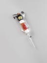Zucca 2.webp